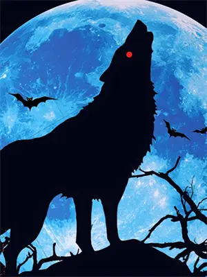 爱是细水长流的欢喜